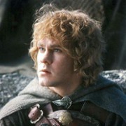 Meriadok Brandybuck