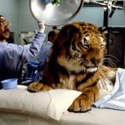 Doctor Dolittle - galeria zdjęć - filmweb