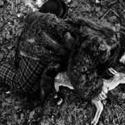 Truposz - galeria zdjęć - filmweb