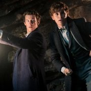 Fantastic Beasts: The Secrets of Dumbledore - galeria zdjęć - filmweb