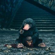 Fantastic Beasts: The Secrets of Dumbledore - galeria zdjęć - filmweb