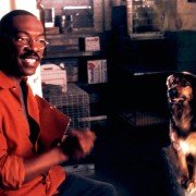 Dr. Dolittle 2 - galeria zdjęć - filmweb