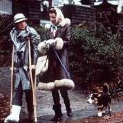 Przypadkowy turysta - galeria zdjęć - filmweb