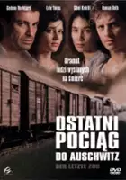 Radek Kuchař / Ostatni pociąg