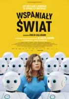 plakat filmu Wspaniały świat