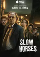 plakat serialu Kulawe konie