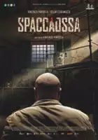 plakat filmu Spaccaossa