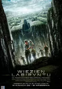 Plakat filmu Więzień labiryntu