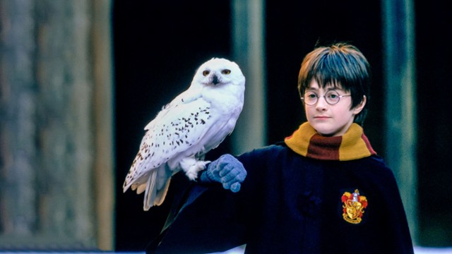 Serial "Harry Potter" bliższy książek? Sudeikis wróci jako Ted...