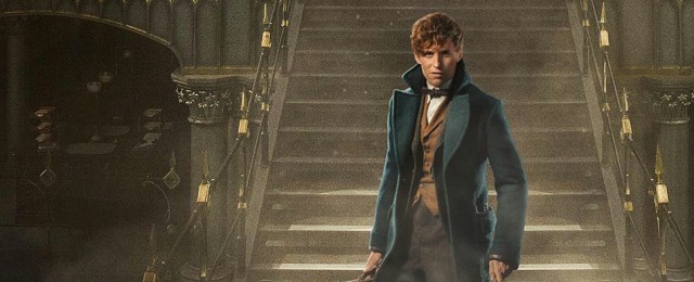 J.K. Rowling ma pomysły na aż pięć części "Fantastycznych...
