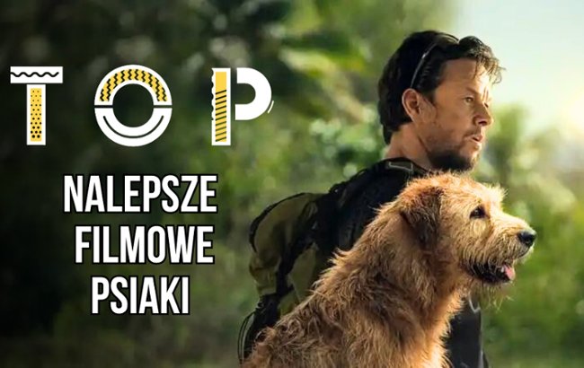 Najlepsze filmowe psiaki